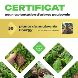 Certificat pour la plantation de 50 arbres Paulownia