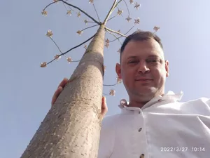 Paulownia Energy photo