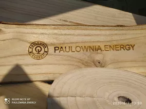 Paulownia Energy Photo