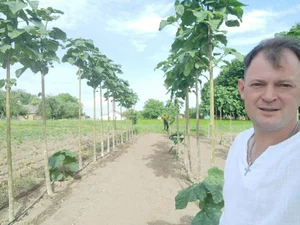 Paulownia Energy Life