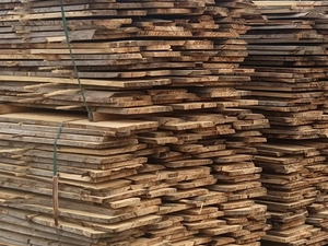 Planches de Paulownia