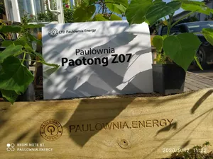 Paulownia Energy Photo