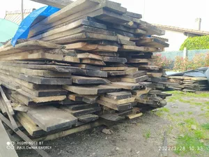 Paulownia Energy photo