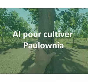 IA pour la culture du paulownia par Paulownia.Energy ®⚡