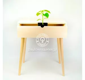 Table de chevet de Paulownia-01 Table de chevet de Paulownia-01