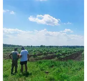 Visite d'un spécialiste pour l'évaluation d'un terrain destiné à la plantation de Paulownia