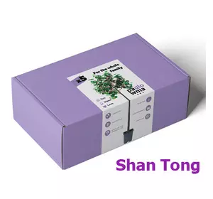 Paulownia Box Shan Tong. Skrzynka do uprawy paulownia