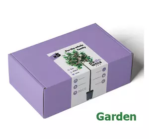 Paulownia Box Garden. Skrzynka do uprawy paulownia Paulownia Box Garden. Skrzynka do uprawy paulownia