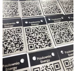 Paulownia EPaszport Paulownia EPaszport