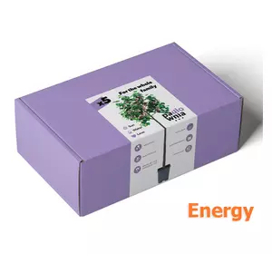 Paulownia Box Energy. Skrzynka do uprawy paulownia Paulownia Box Energy. Skrzynka do uprawy paulownia