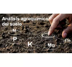 Análisis agroquímico del suelo para la plantación de Paulownia