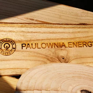 Drewno Paulownia Drewno Paulownia