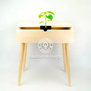 Meble z Paulowni Meble z Paulowni