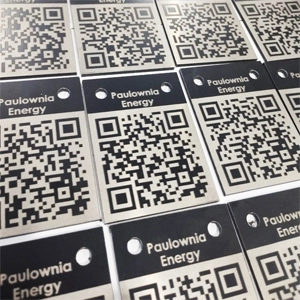 Paulownia Paszport Paulownia Paszport