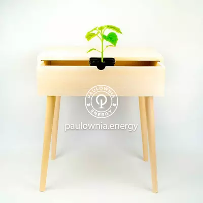 Table de chevet de Paulownia-01