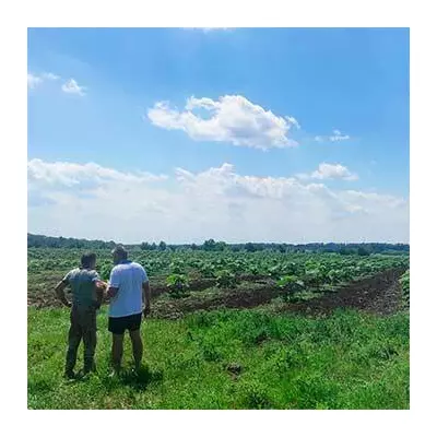 Visite d'un spécialiste pour l'évaluation d'un terrain destiné à la plantation de Paulownia
