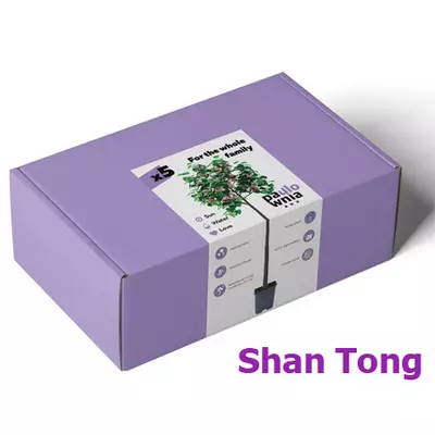 Paulownia Box Shan Tong. Skrzynka do uprawy paulownia