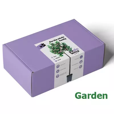 Paulownia Box Garden. Skrzynka do uprawy paulownia