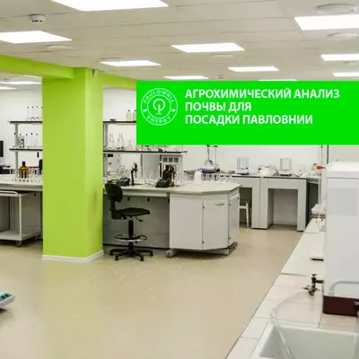 Agrochemiczna analiza gleby dla plantacji Paulowni