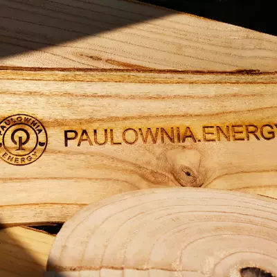 Deska 40 mm z Paulowni. Kupujemy