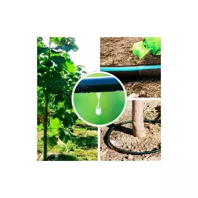 Diseño de sistemas de riego por goteo Paulownia