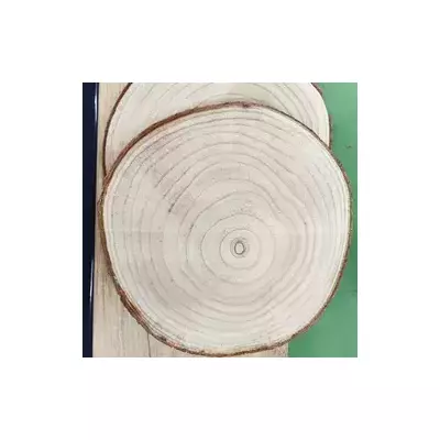 Taza decorativa de paulownia