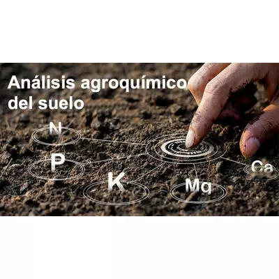 Análisis agroquímico del suelo para la plantación de Paulownia